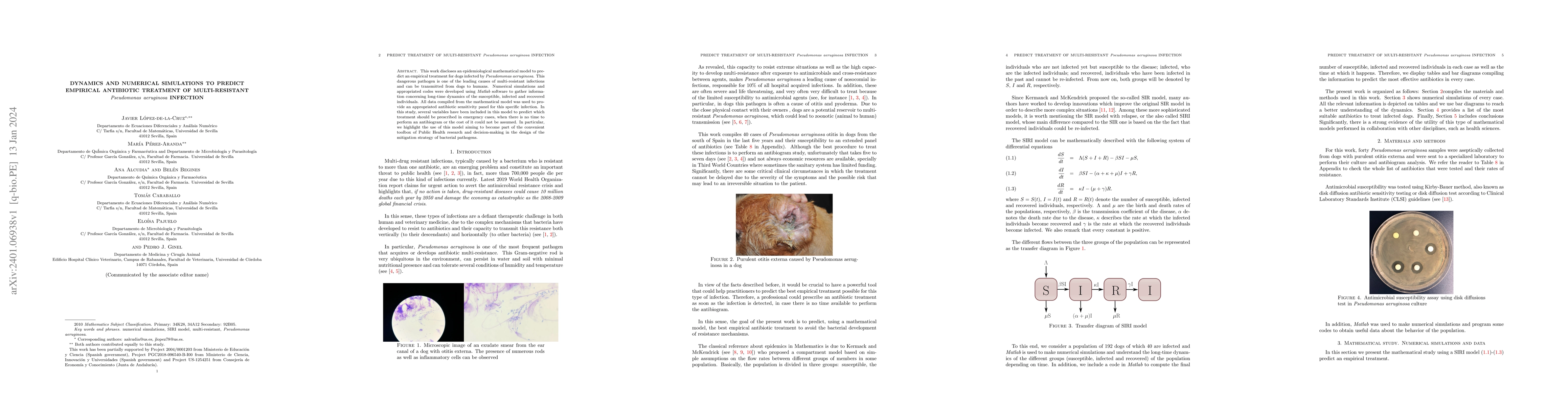 Thumbnail for Dynamics and numerical simulations to predict empirical antibiotic
  treatment of multi-resistant Pseudomonas aeruginosa infection