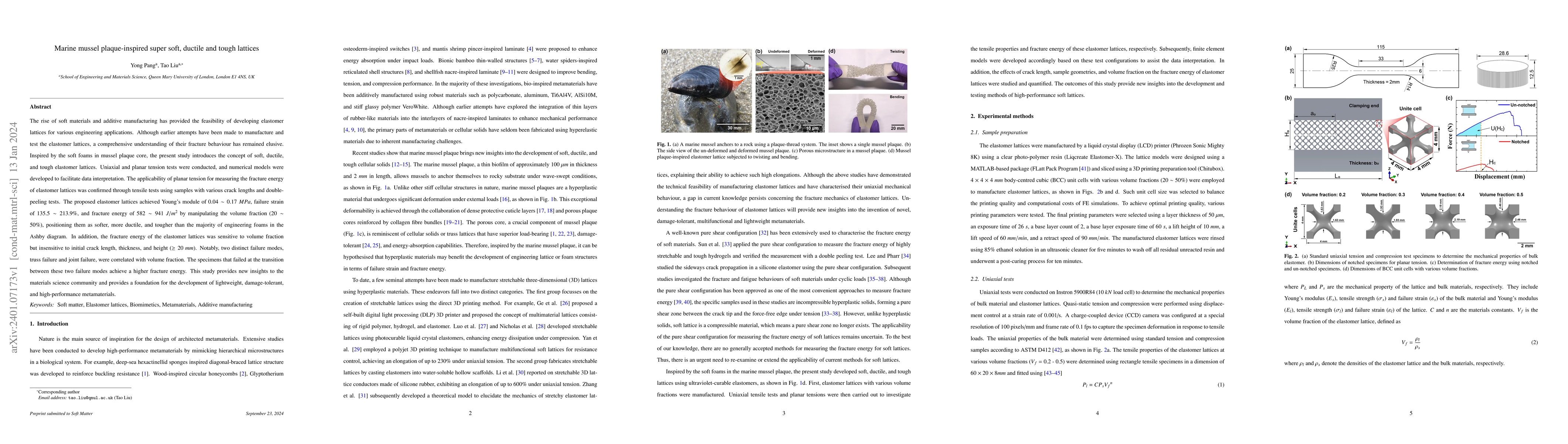 Thumbnail for Marine mussel plaque-inspired super soft, ductile and tough lattices