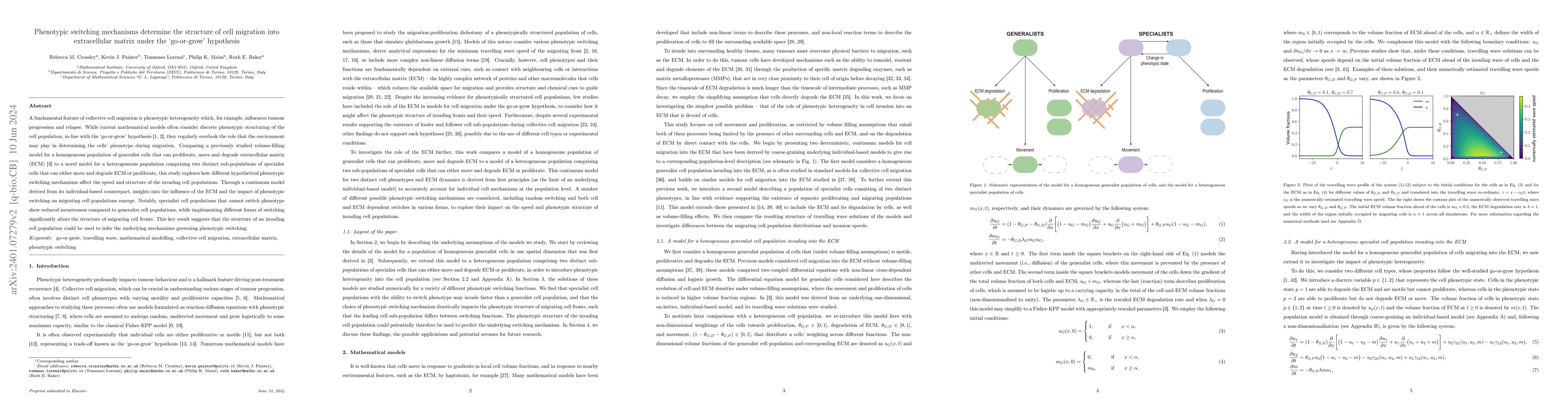 Thumbnail for Phenotypic switching mechanisms determine the structure of cell
  migration into extracellular matrix under the `go-or-grow' hypothesis