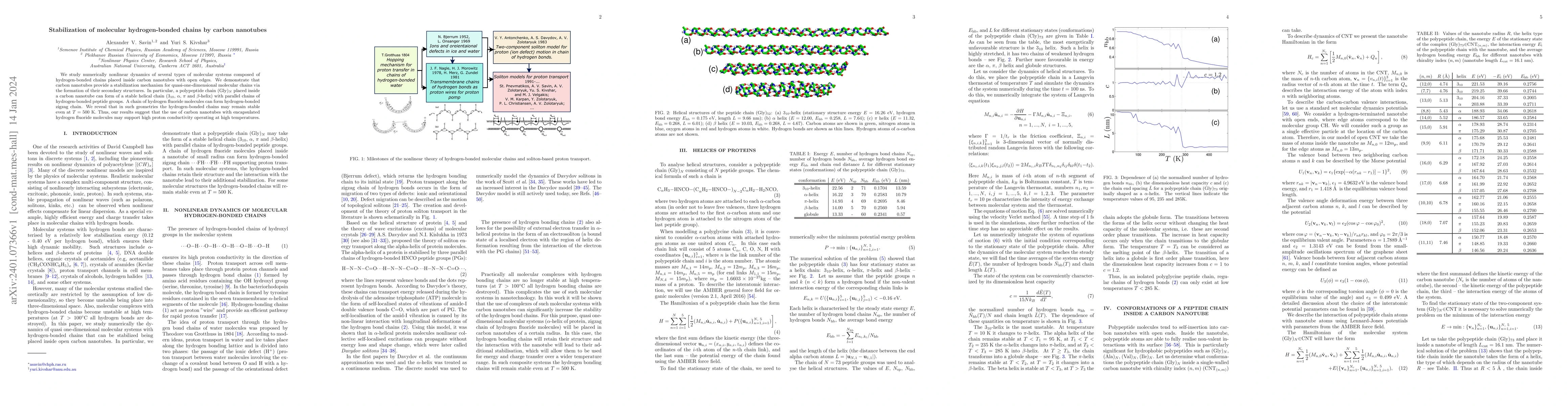 Thumbnail for Stabilization of molecular hydrogen-bonded chains by carbon nanotubes