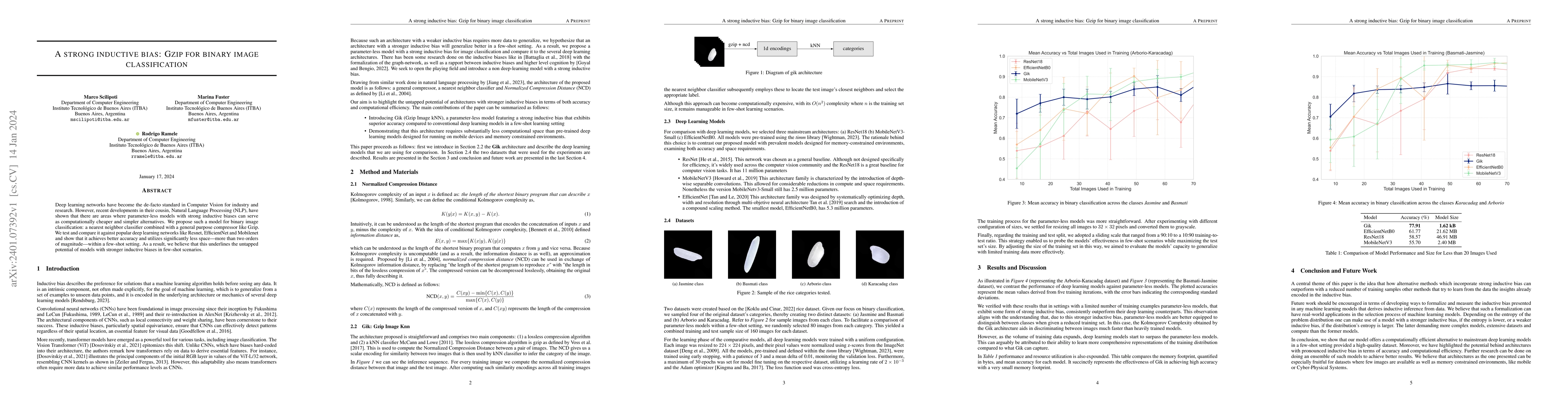 Thumbnail for A Strong Inductive Bias: Gzip for binary image classification