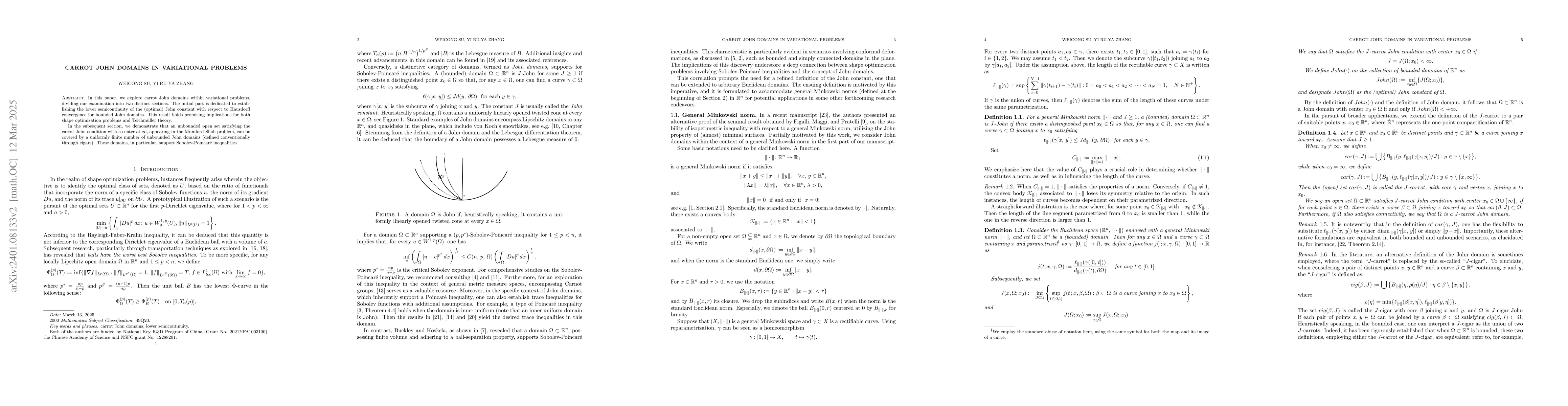 Thumbnail for Carrot John domains in variational problems