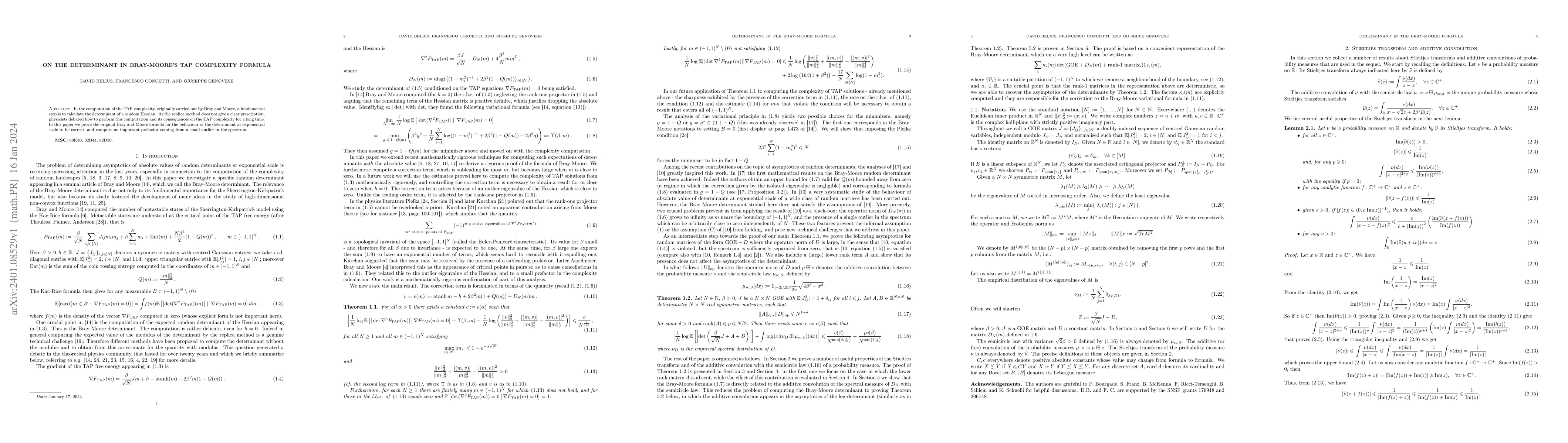 Thumbnail for On the determinant in Bray-Moore's TAP complexity formula