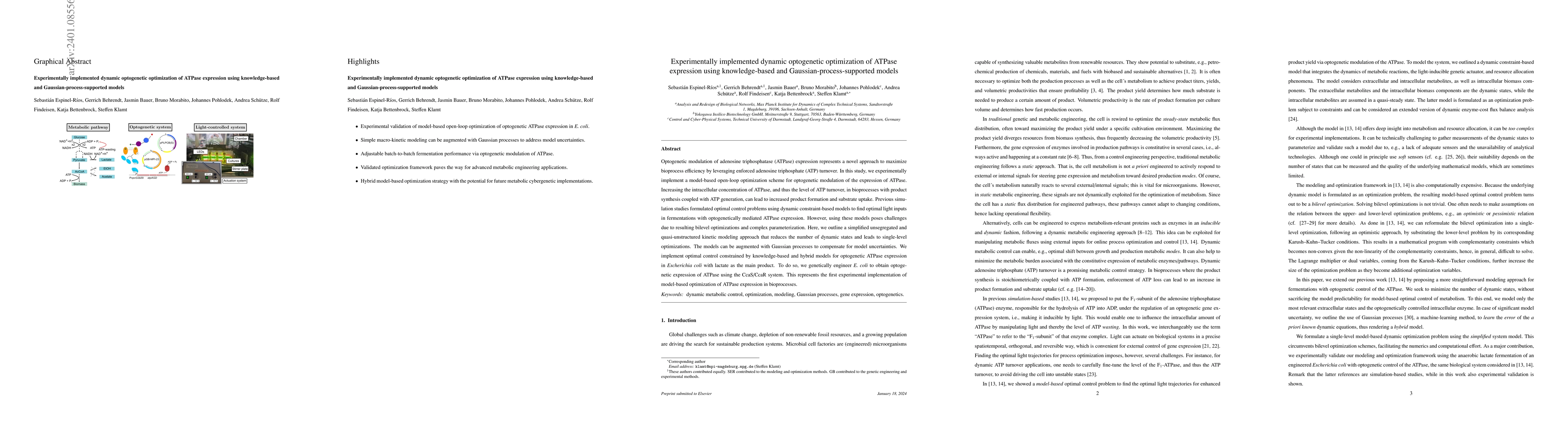 Thumbnail for Experimentally implemented dynamic optogenetic optimization of ATPase
  expression using knowledge-based and Gaussian-process-supported models