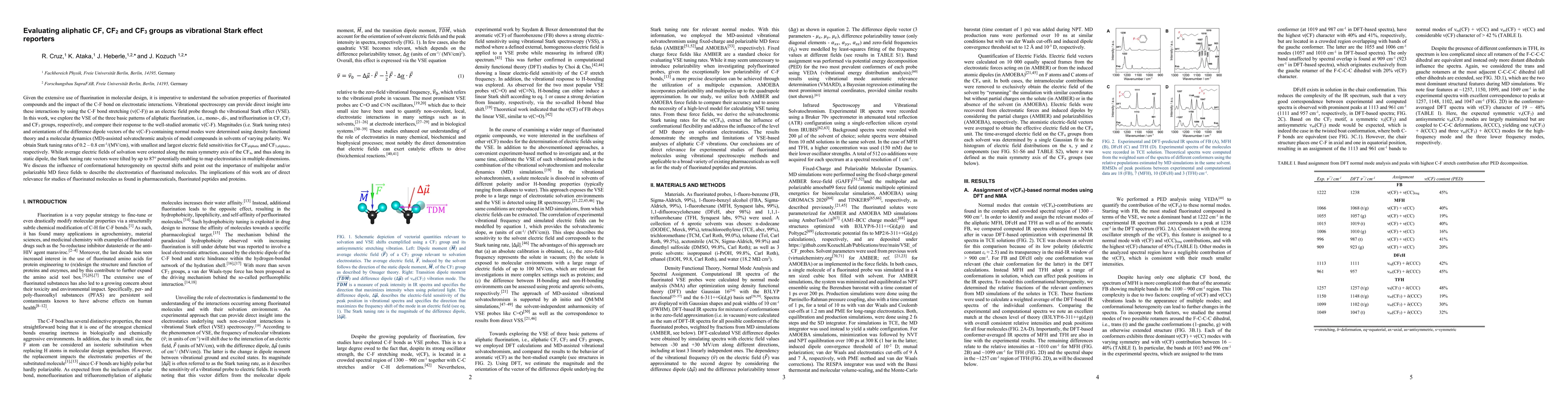 Thumbnail for Evaluating aliphatic CF, CF2 and CF3 groups as vibrational Stark effect
  reporters