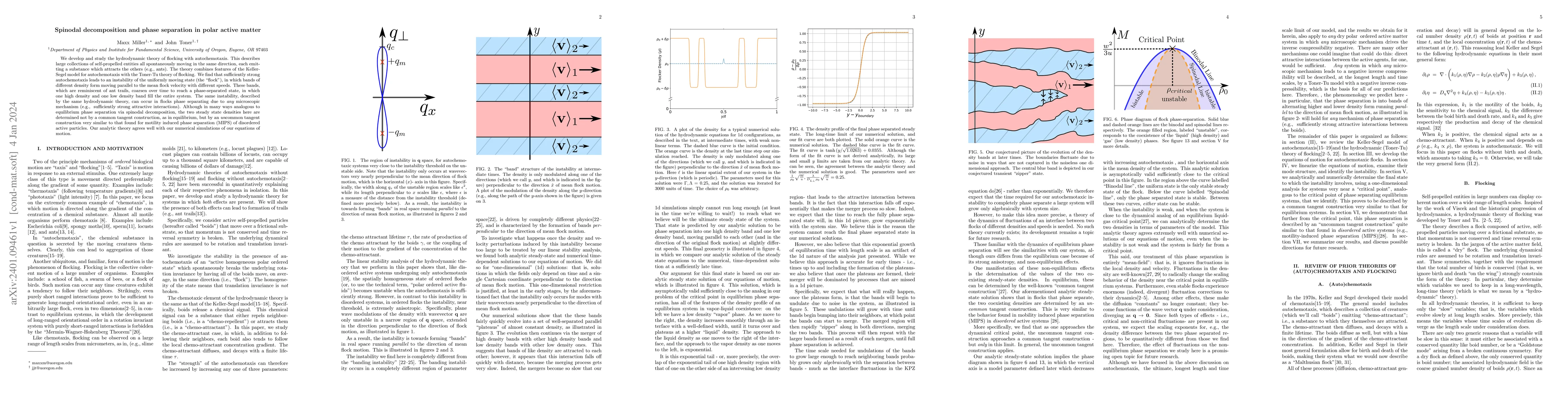 Thumbnail for Spinodal decomposition and phase separation in polar active matter