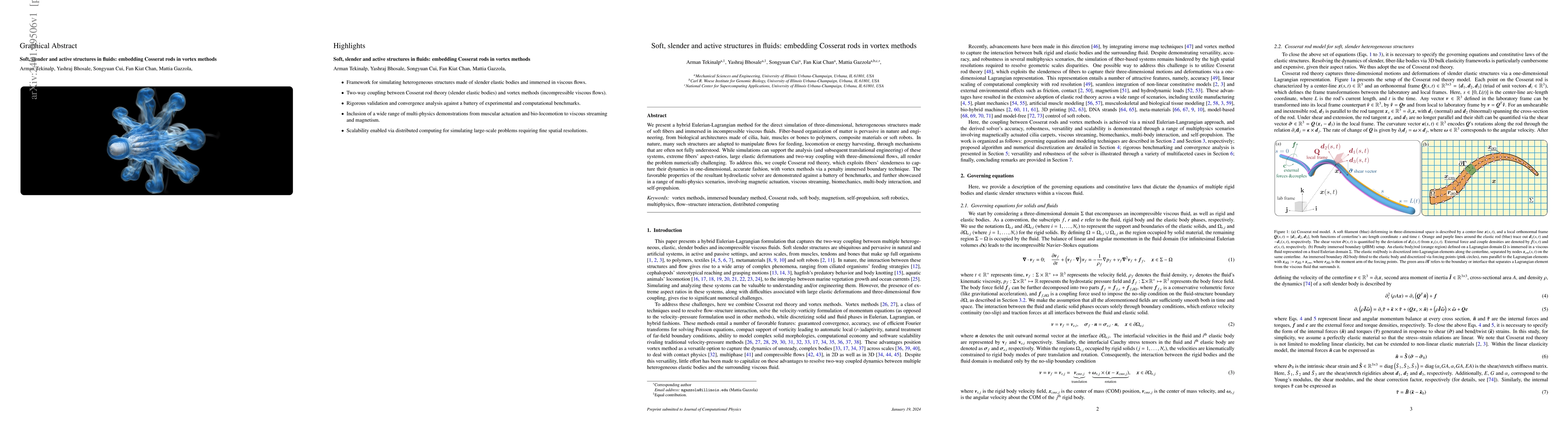 Thumbnail for Soft, slender and active structures in fluids: embedding Cosserat rods
  in vortex methods