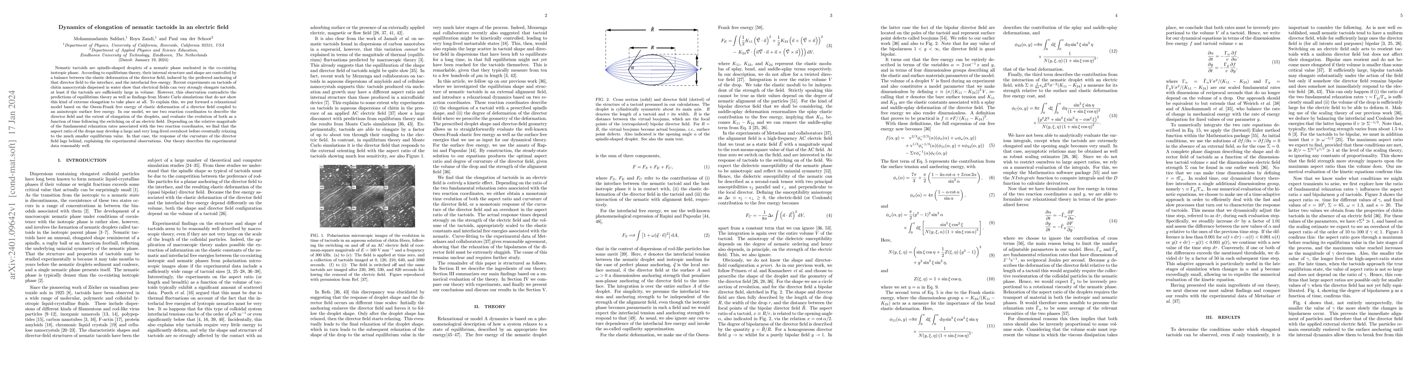 Thumbnail for Dynamics of elongation of nematic tactoids in an electric field