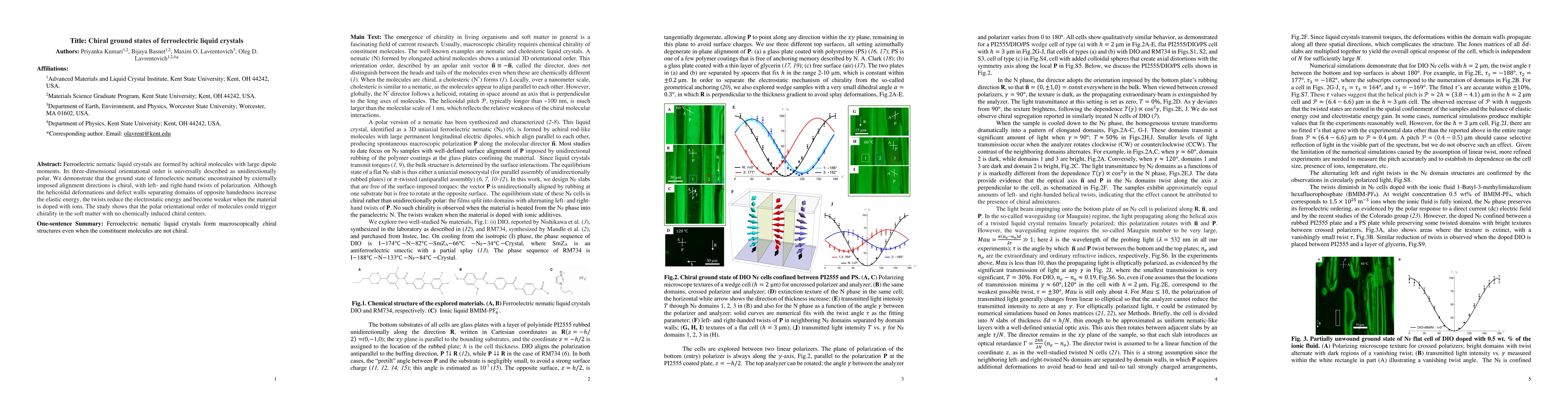Thumbnail for Chiral ground states of ferroelectric liquid crystals