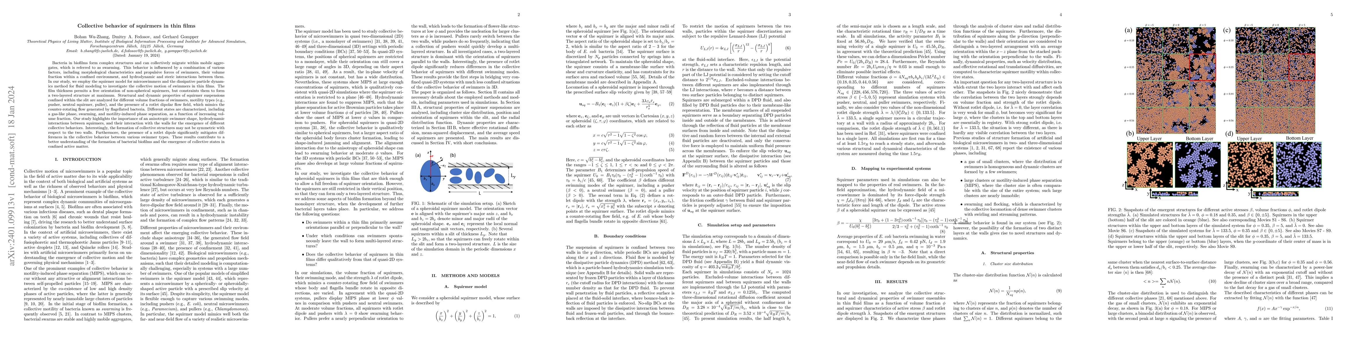 Thumbnail for Collective behavior of squirmers in thin films
