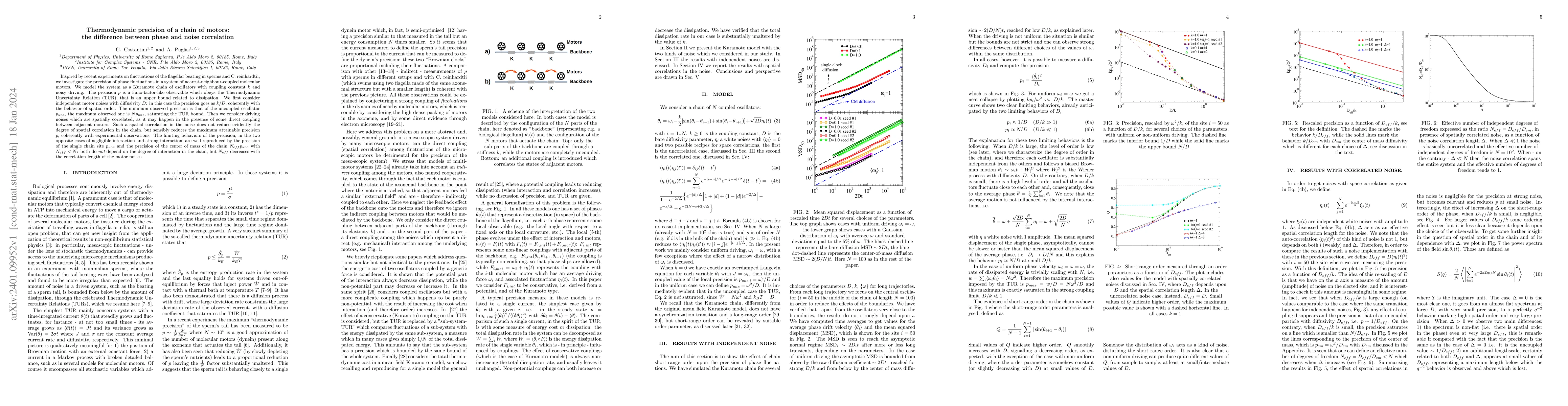 Thumbnail for Thermodynamic precision of a chain of motors: the difference between
  phase and noise correlation