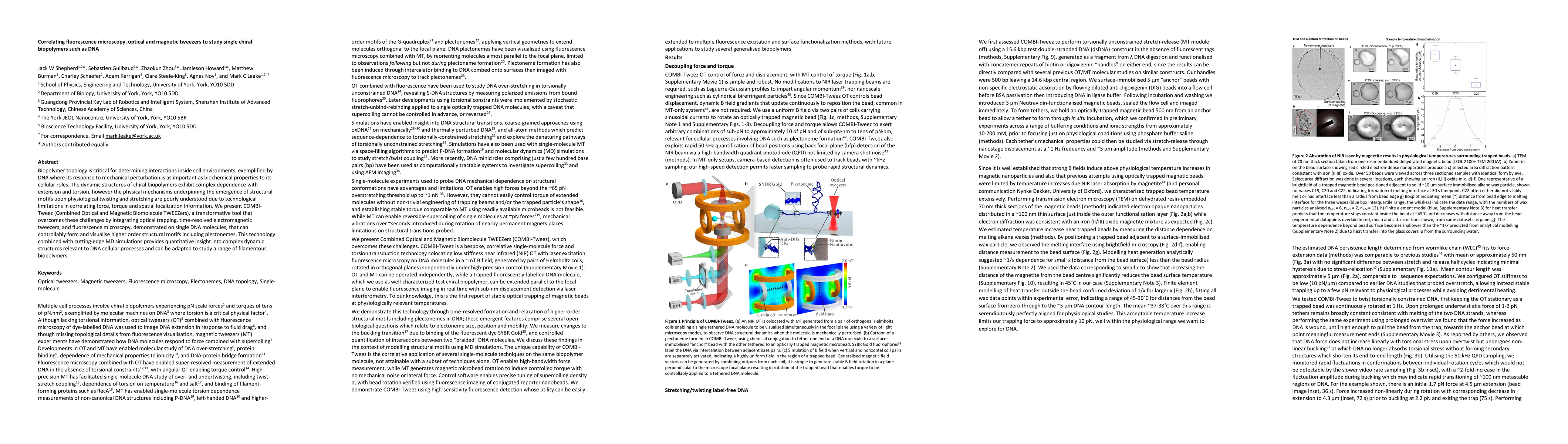 Thumbnail for Correlating fluorescence microscopy, optical and magnetic tweezers to
  study single chiral biopolymers such as DNA