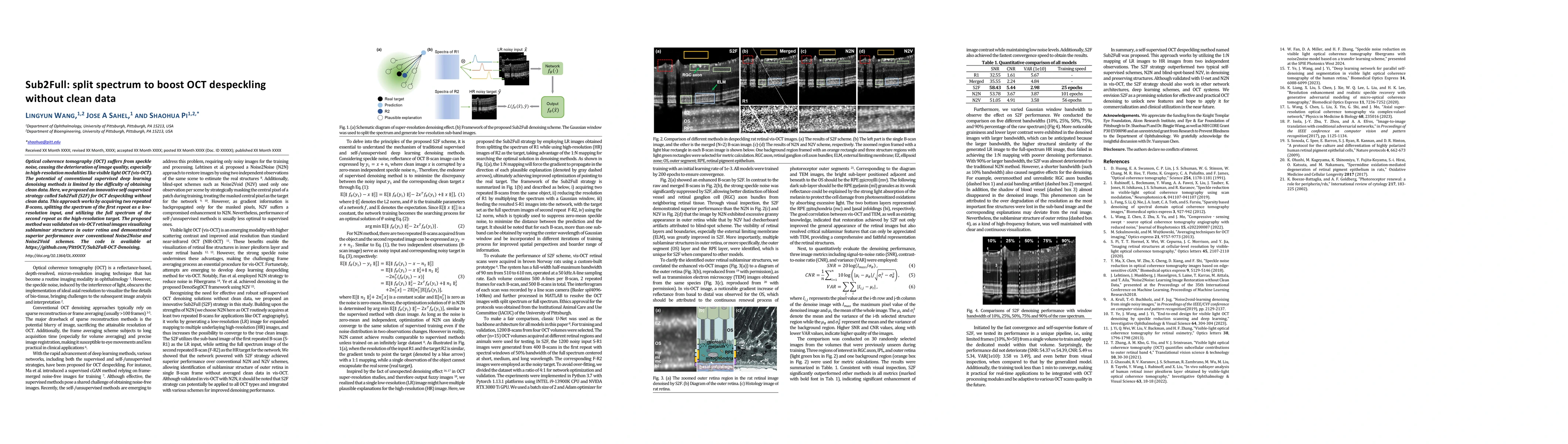 Thumbnail for Sub2Full: split spectrum to boost OCT despeckling without clean data