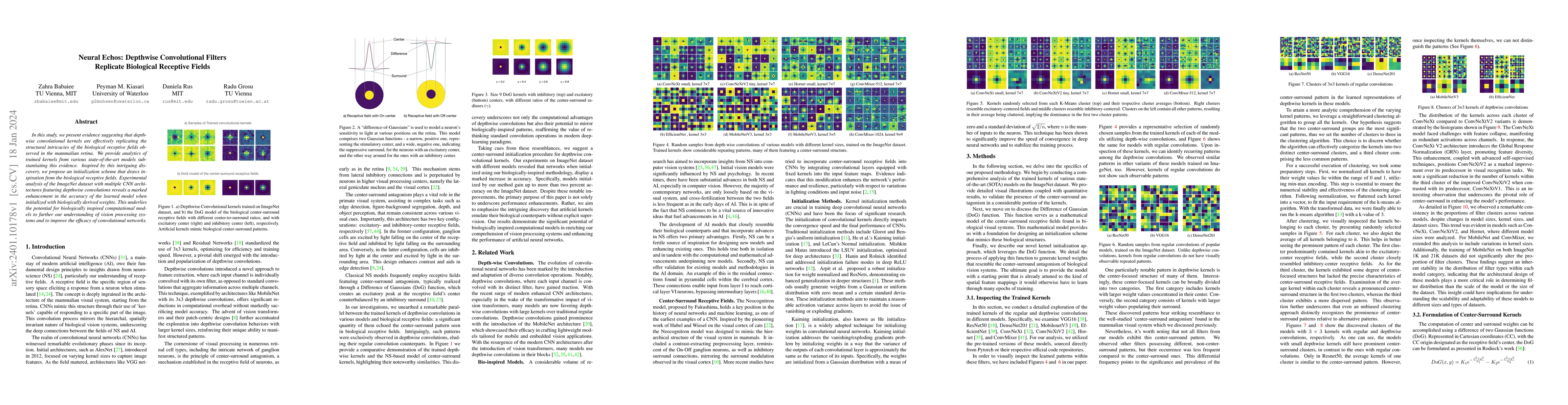 Thumbnail for Neural Echos: Depthwise Convolutional Filters Replicate Biological
  Receptive Fields