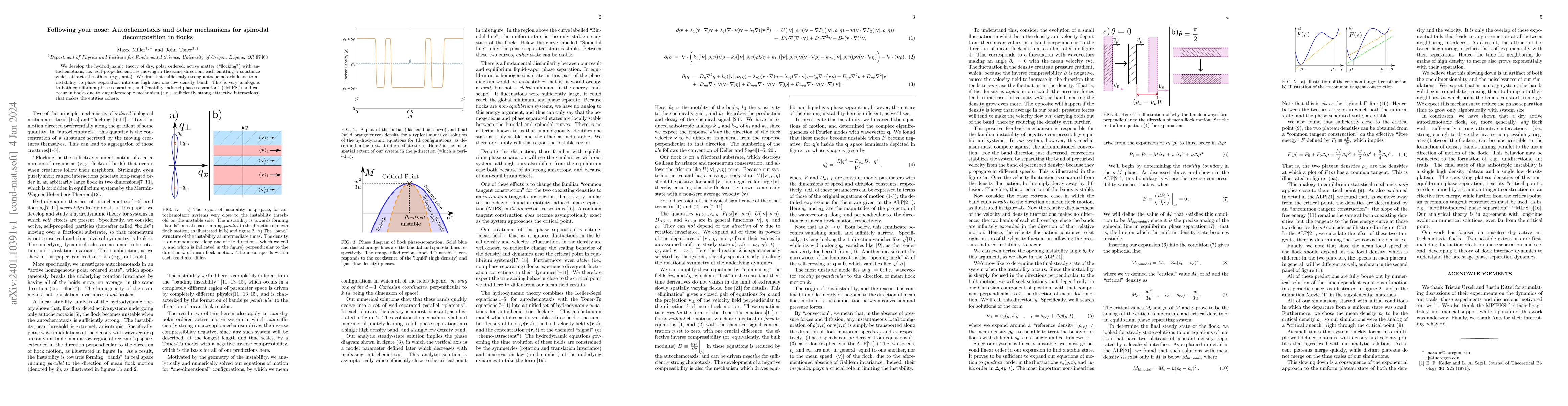 Thumbnail for Following your nose: Autochemotaxis and other mechanisms for spinodal
  decomposition in flocks
