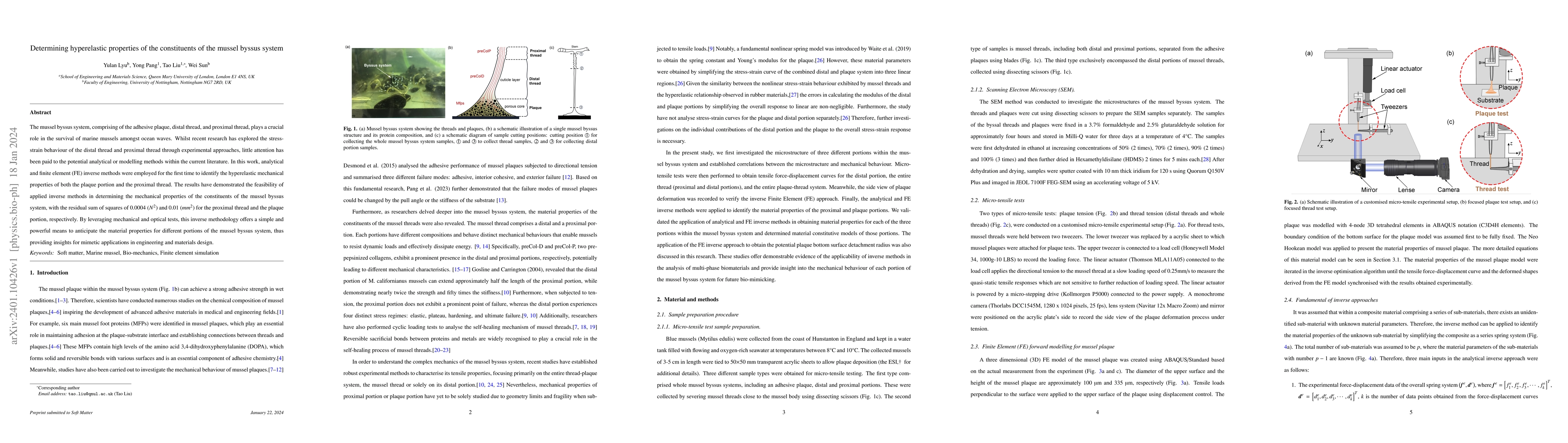 Thumbnail for Determining hyperelastic properties of the constituents of the mussel
  byssus system