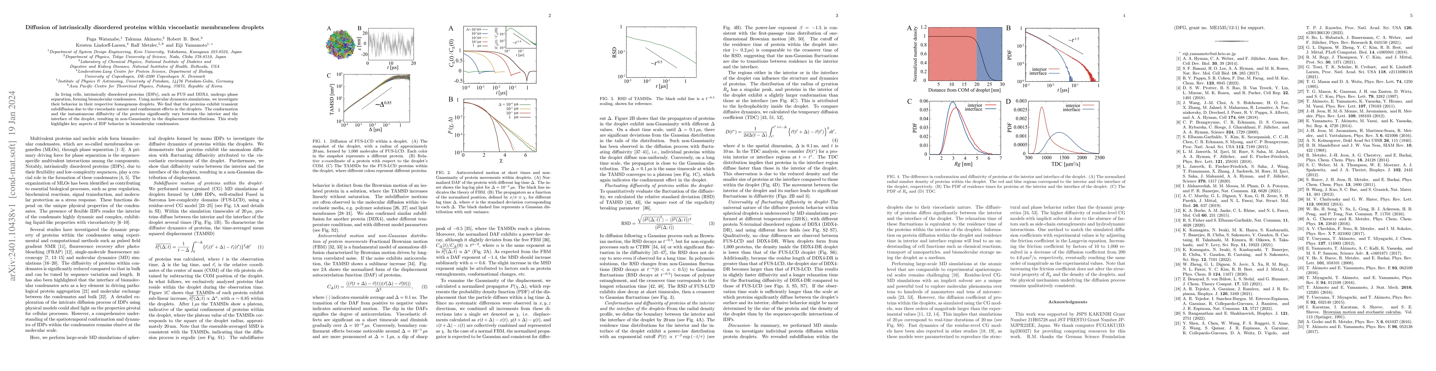 Thumbnail for Diffusion of intrinsically disordered proteins within viscoelastic
  membraneless droplets