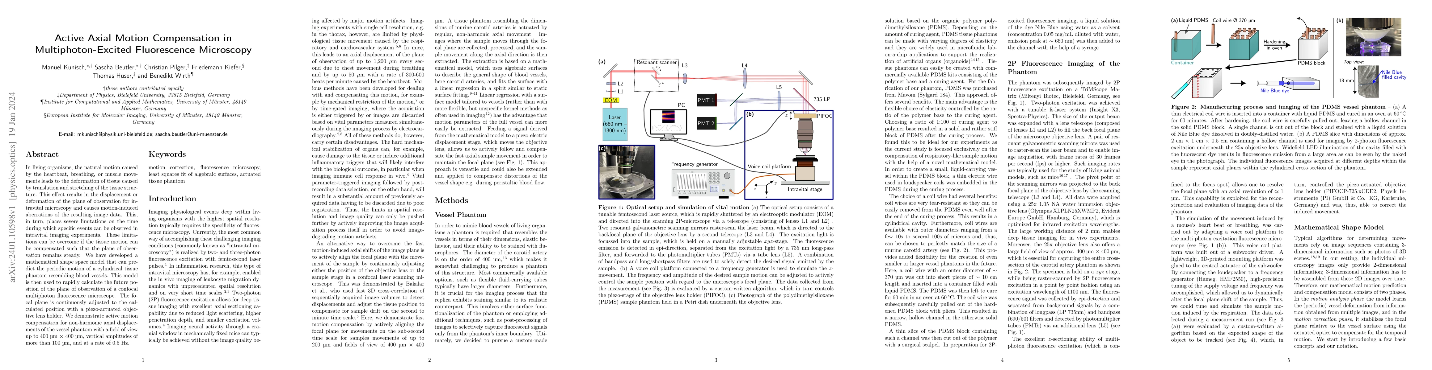 Thumbnail for Active Axial Motion Compensation in Multiphoton-Excited Fluorescence
  Microscopy