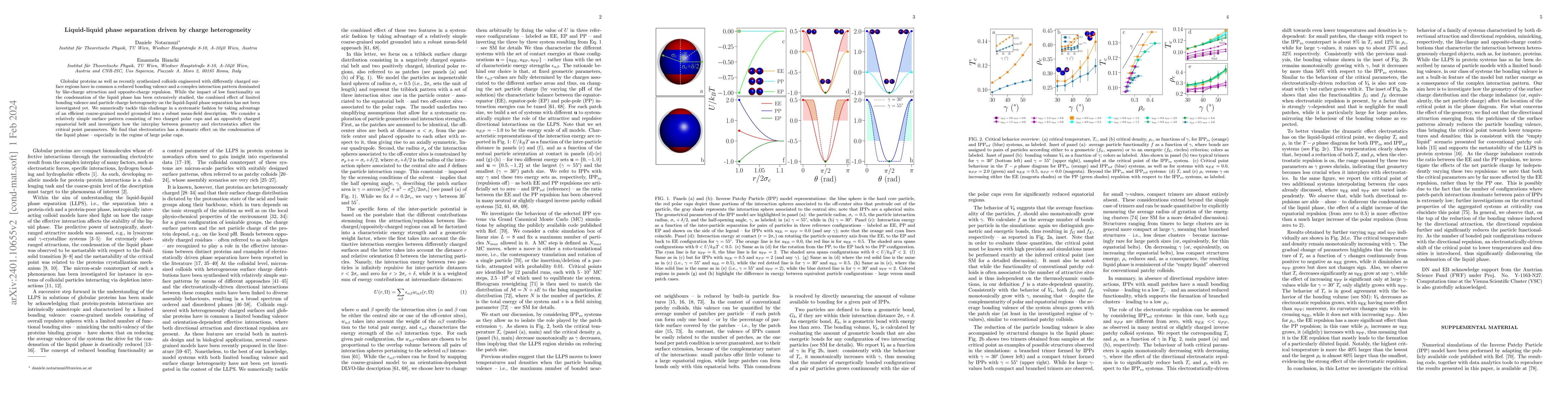 Thumbnail for Liquid-liquid phase separation driven by charge heterogeneity