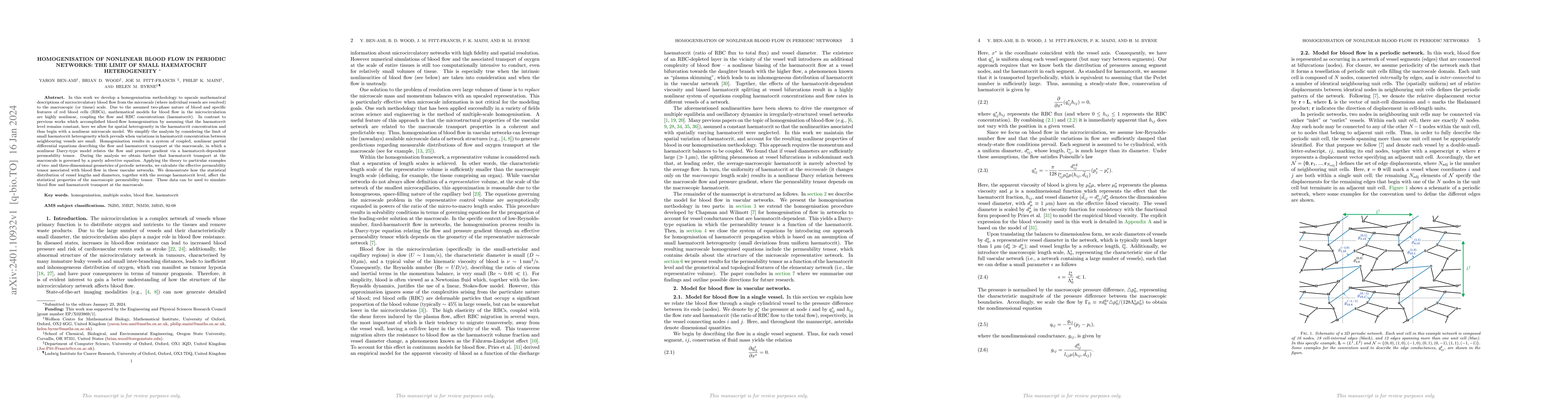 Thumbnail for Homogenisation of nonlinear blood flow in periodic networks: the limit
  of small haematocrit heterogeneity