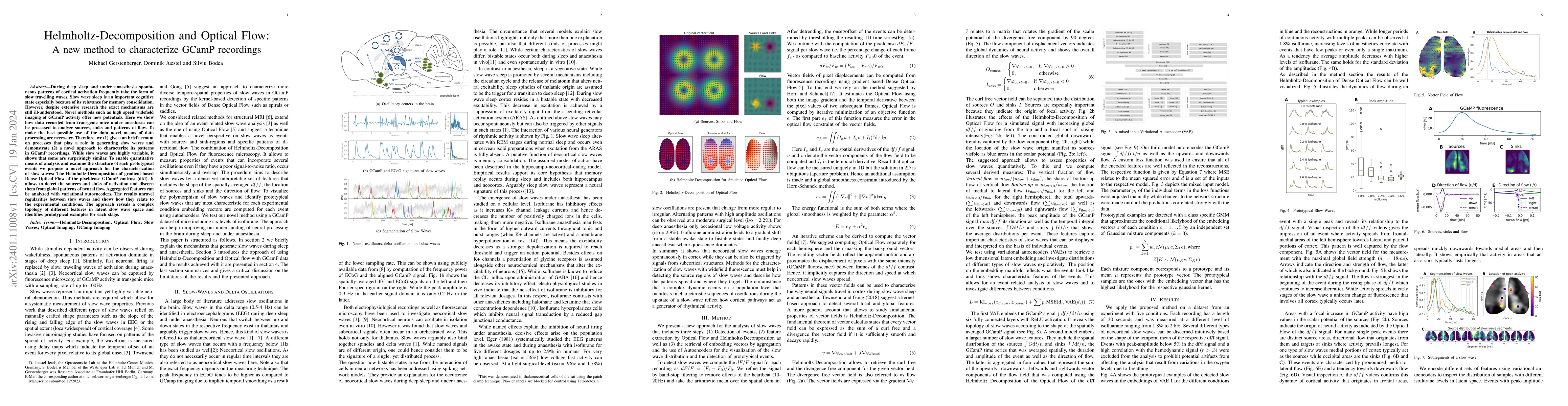 Thumbnail for Helmholtz-Decomposition and Optical Flow: A new method to characterize
  GCamP recordings
