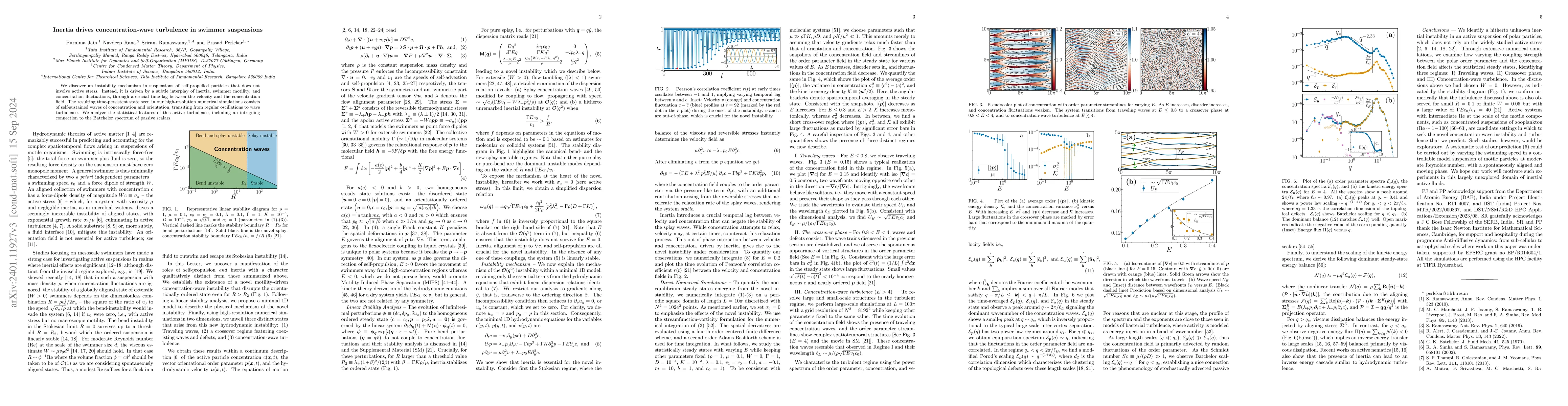 Thumbnail for Inertia drives concentration-wave turbulence in swimmer suspensions