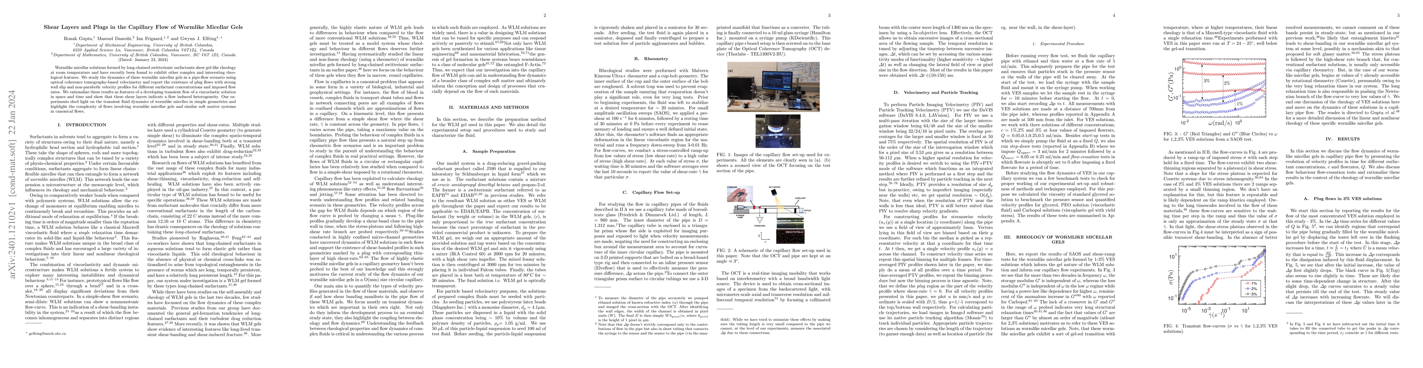 Thumbnail for Shear Layers and Plugs in the Capillary Flow of Wormlike Micellar Gels