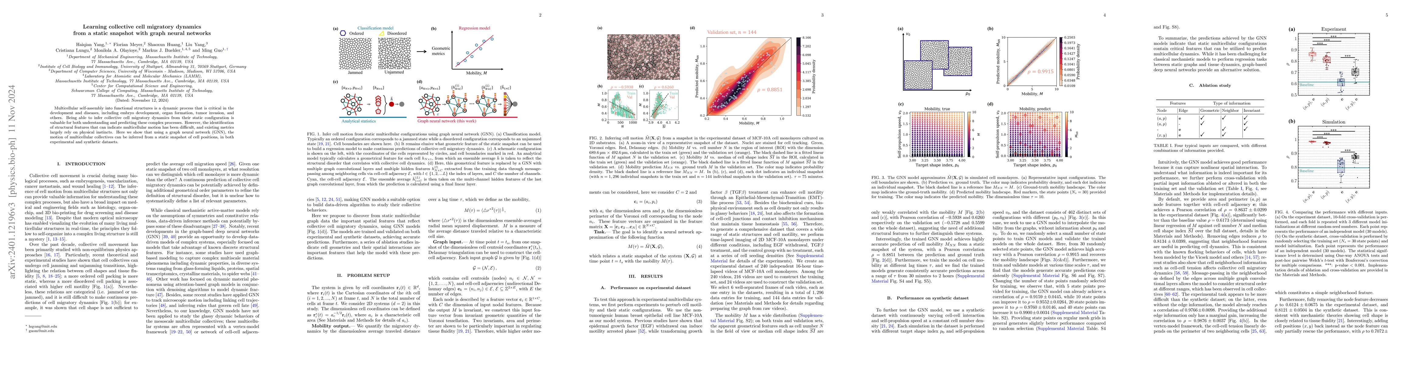 Thumbnail for Learning Dynamics from Multicellular Graphs with Deep Neural Networks