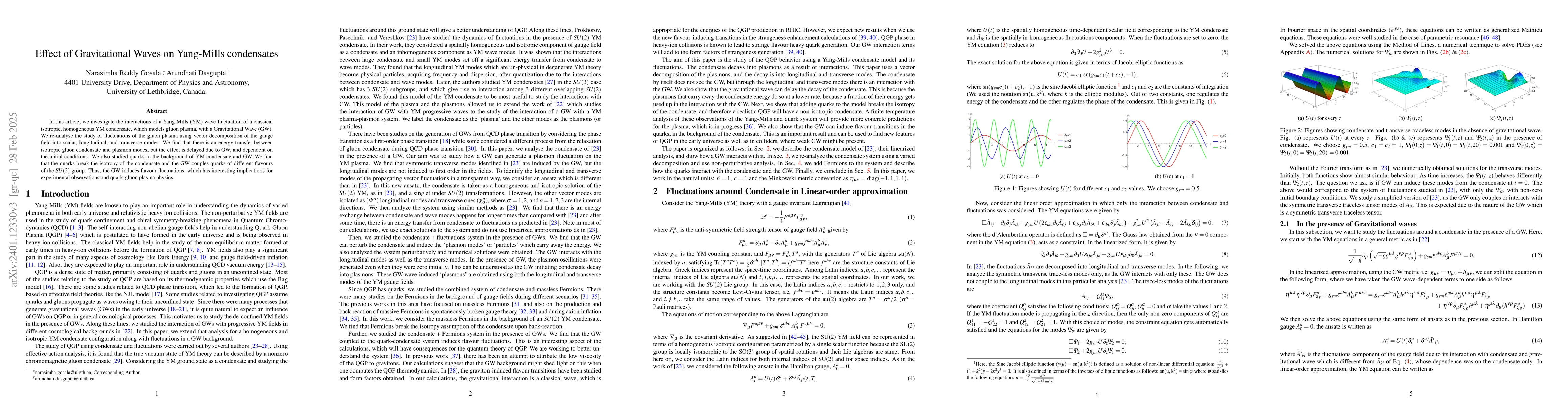 Thumbnail for Effect of Gravitational Waves on Yang-Mills condensates