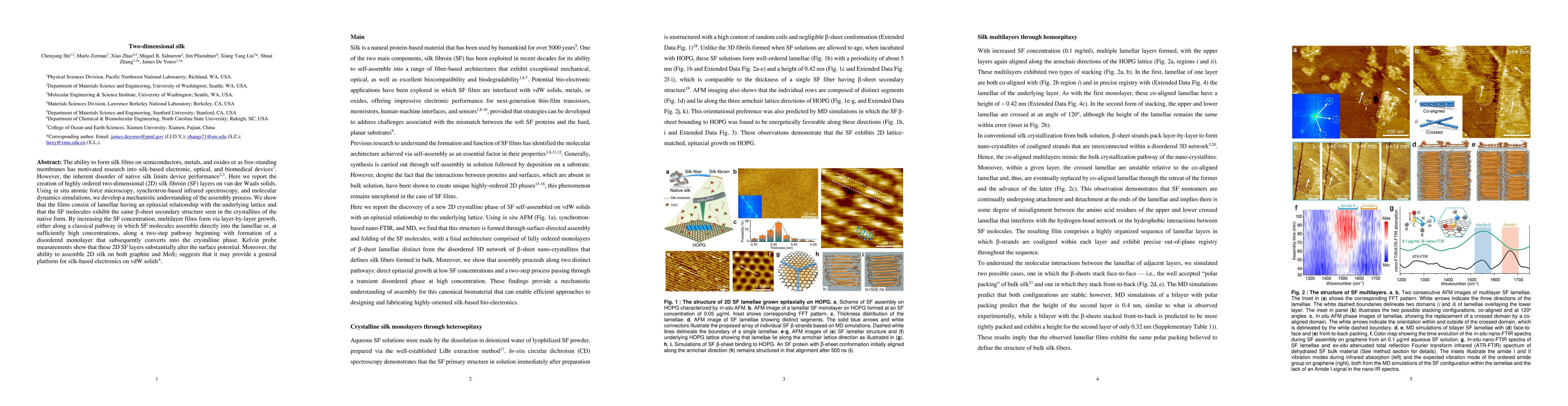Thumbnail for Two-dimensional silk
