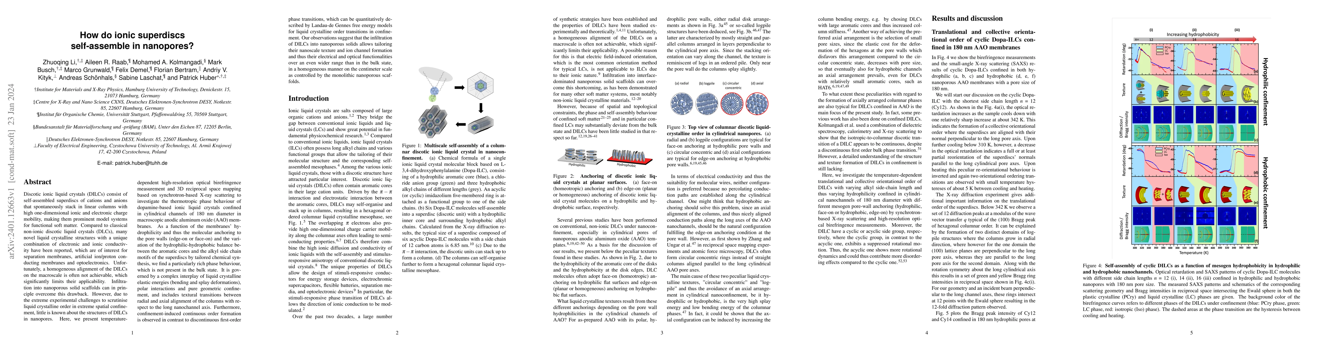 Thumbnail for How do ionic superdiscs self-assemble in nanopores?