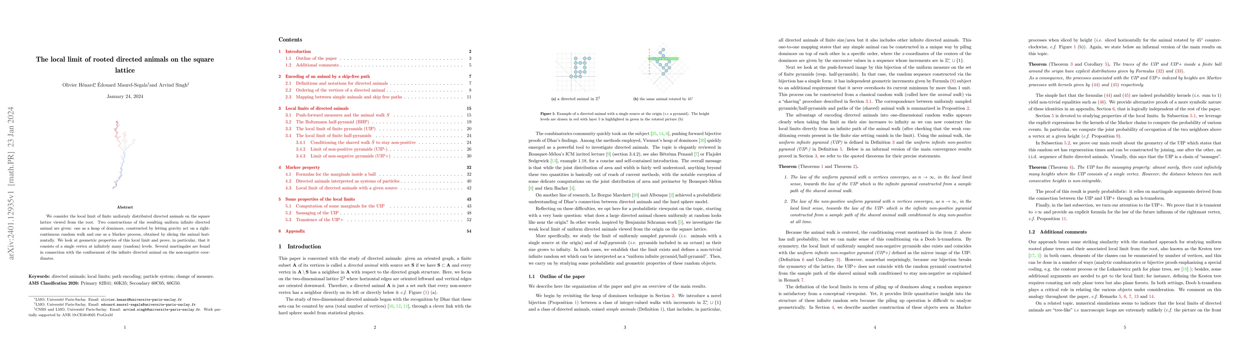 Thumbnail for The local limit of rooted directed animals on the square lattice