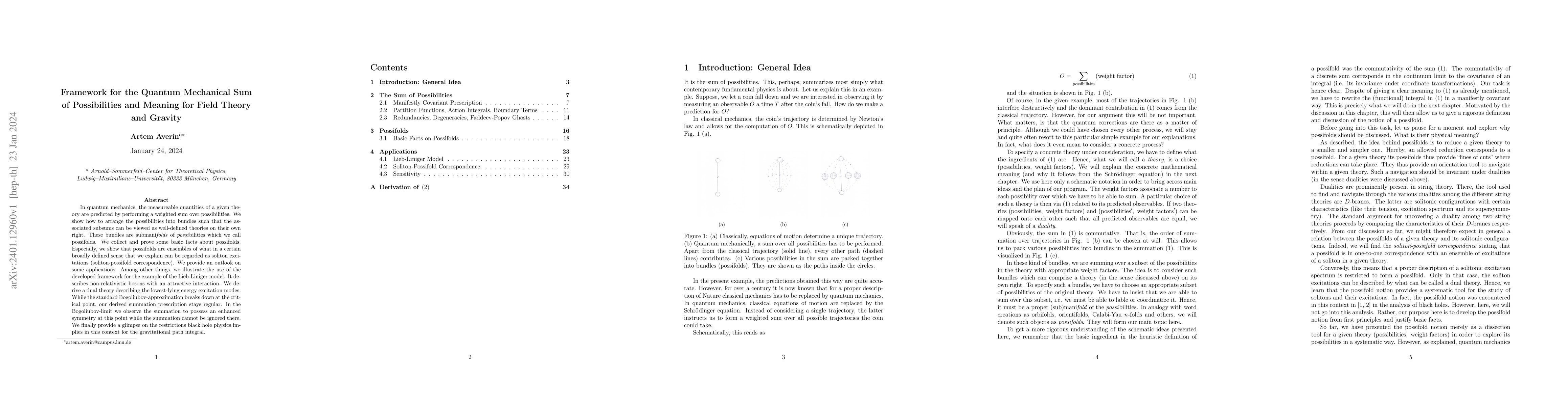 Thumbnail for Framework for the Quantum Mechanical Sum of Possibilities and Meaning
  for Field Theory and Gravity