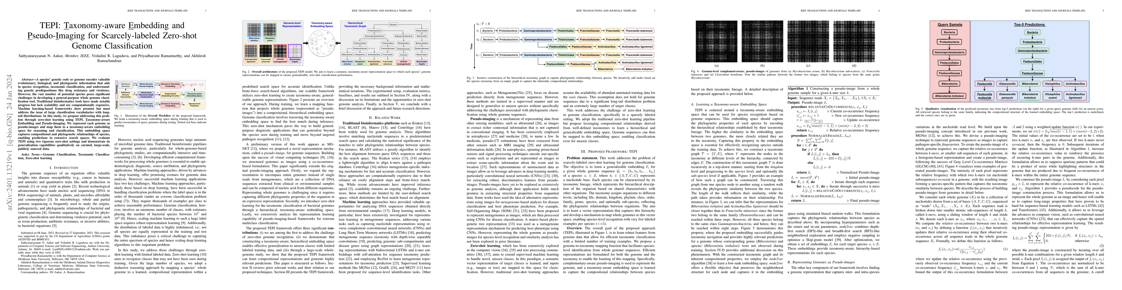 Thumbnail for TEPI: Taxonomy-aware Embedding and Pseudo-Imaging for Scarcely-labeled
  Zero-shot Genome Classification