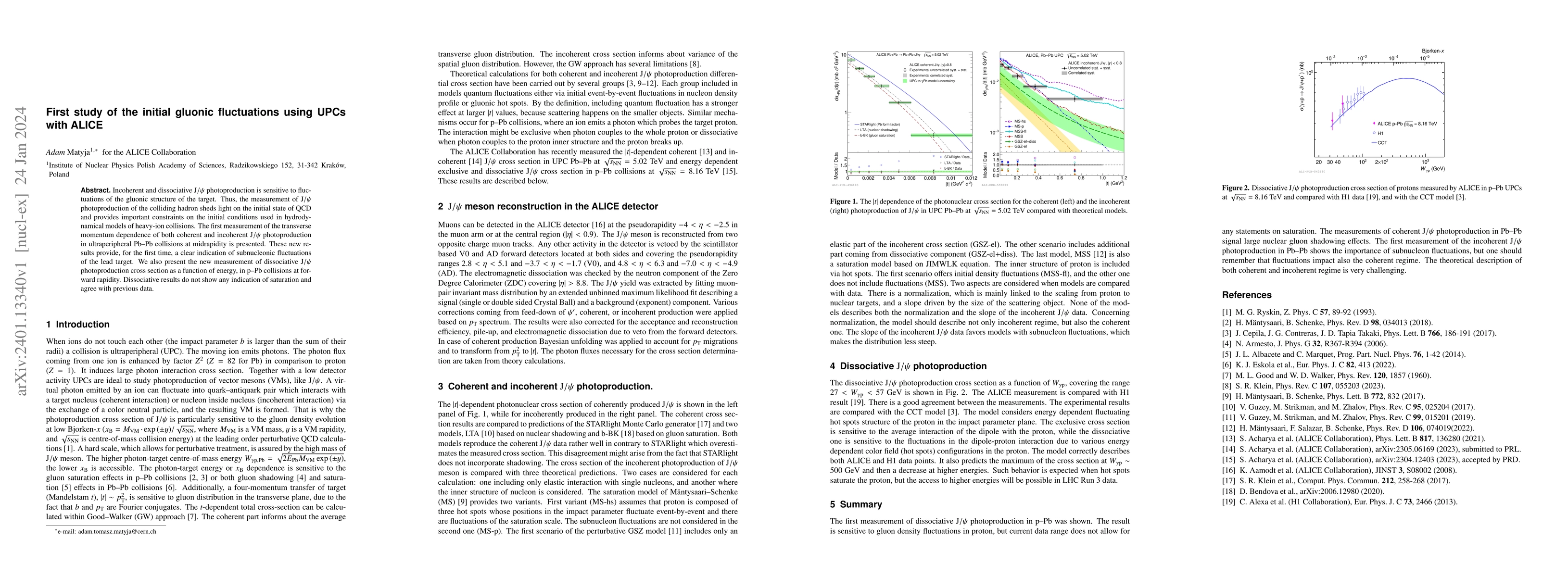 Thumbnail for First study of the initial gluonic fluctuations using UPCs with ALICE