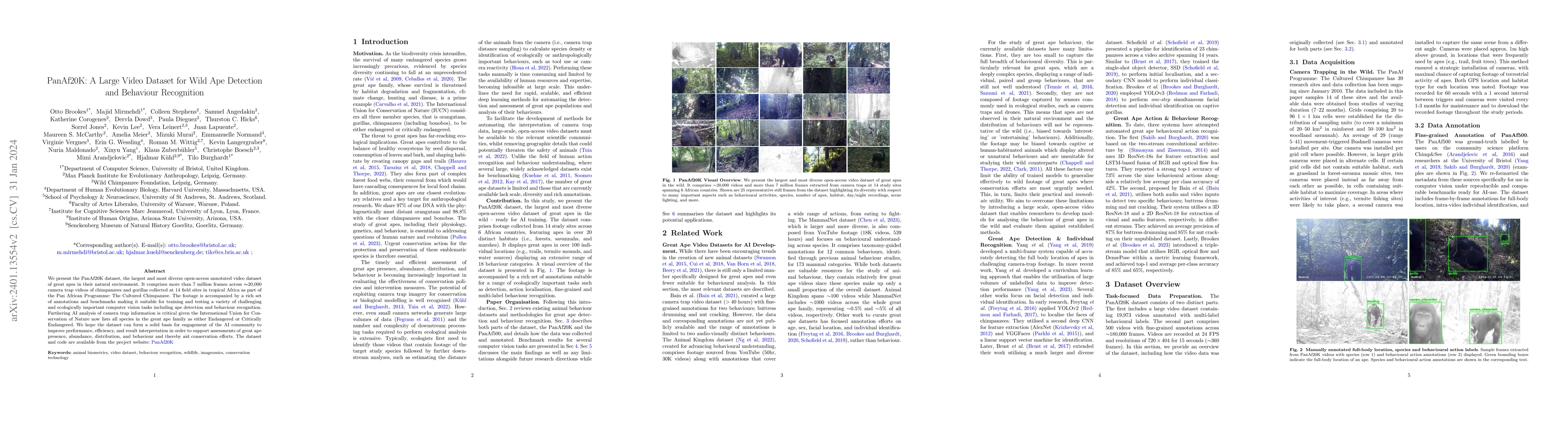 Thumbnail for PanAf20K: A Large Video Dataset for Wild Ape Detection and Behaviour
  Recognition