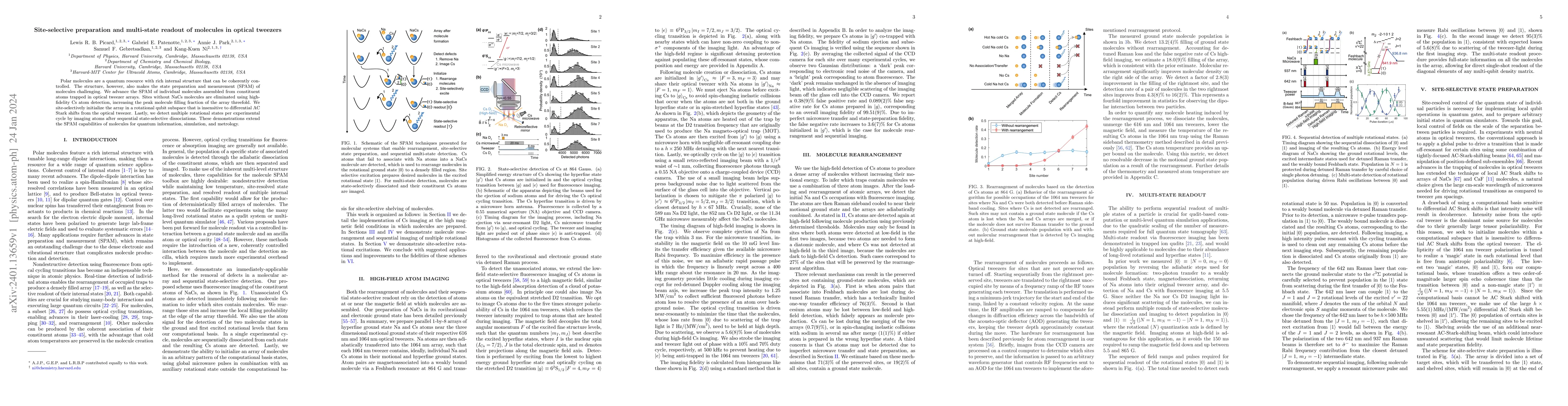 Thumbnail for Site-selective preparation and multi-state readout of molecules in
  optical tweezers