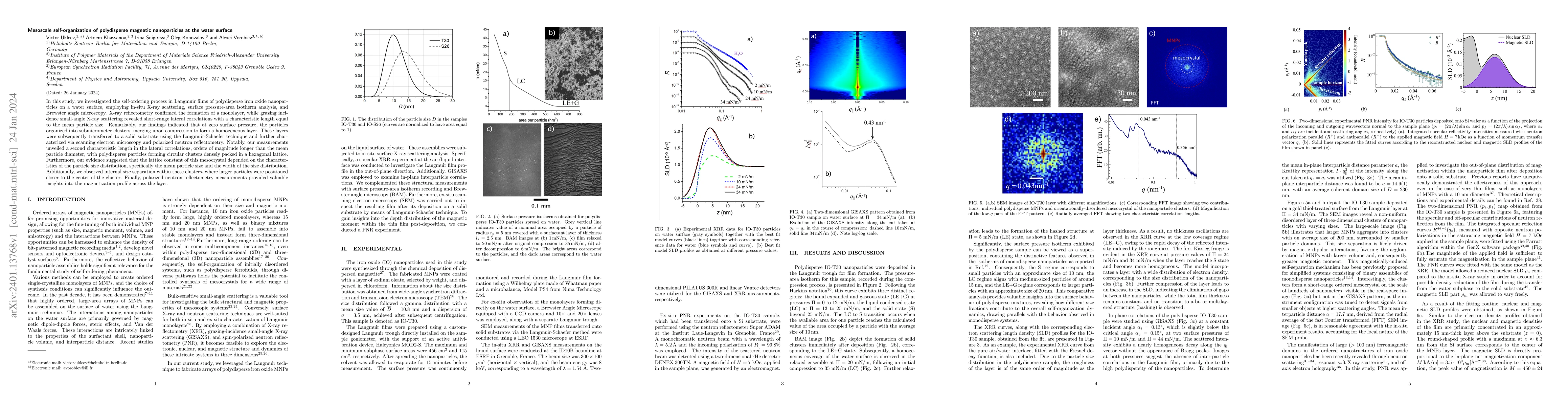 Thumbnail for Mesoscale self-organization of polydisperse magnetic nanoparticles at
  the water surface