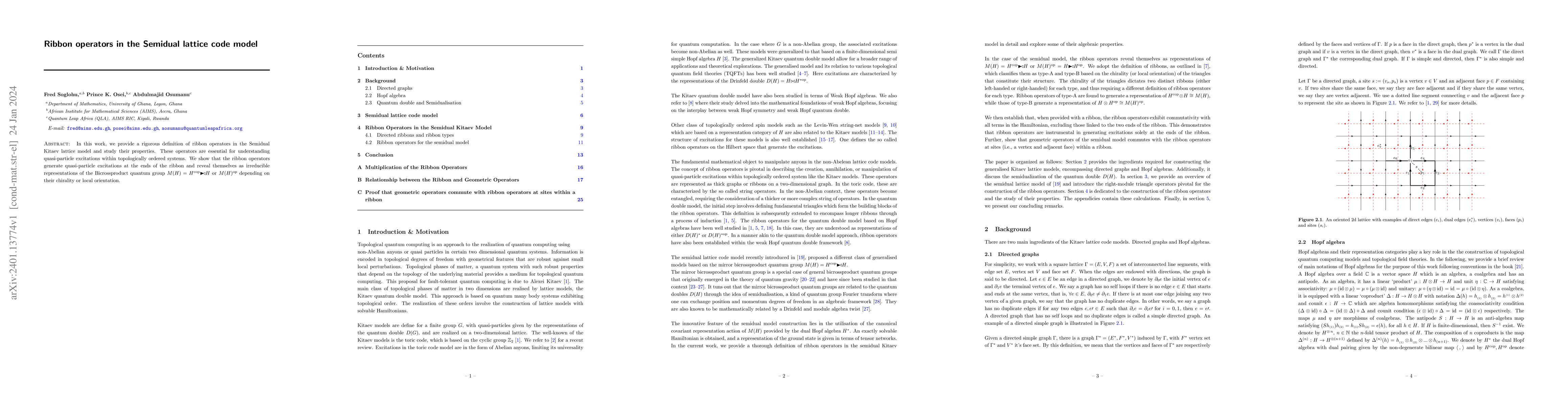 Thumbnail for Ribbon operators in the Semidual lattice code model