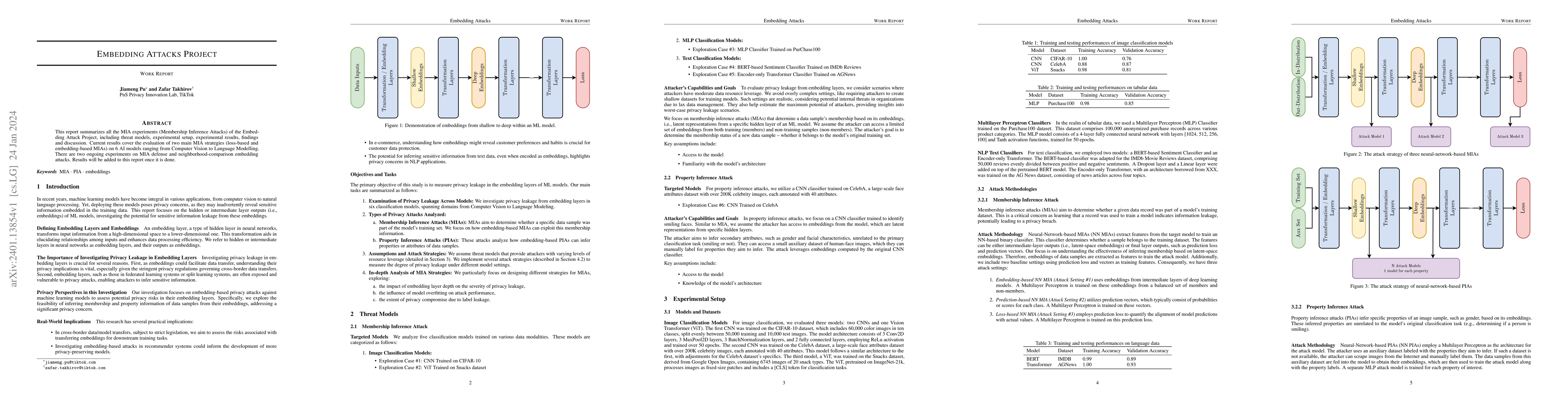 Thumbnail for Embedding Attack Project (Work Report)