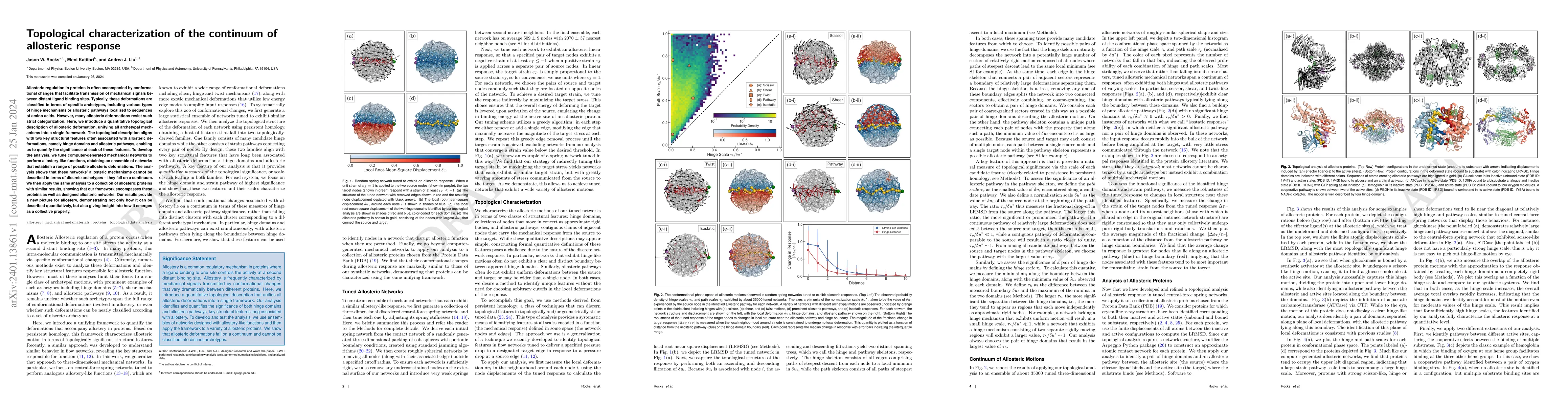 Thumbnail for Topological characterization of the continuum of allosteric response