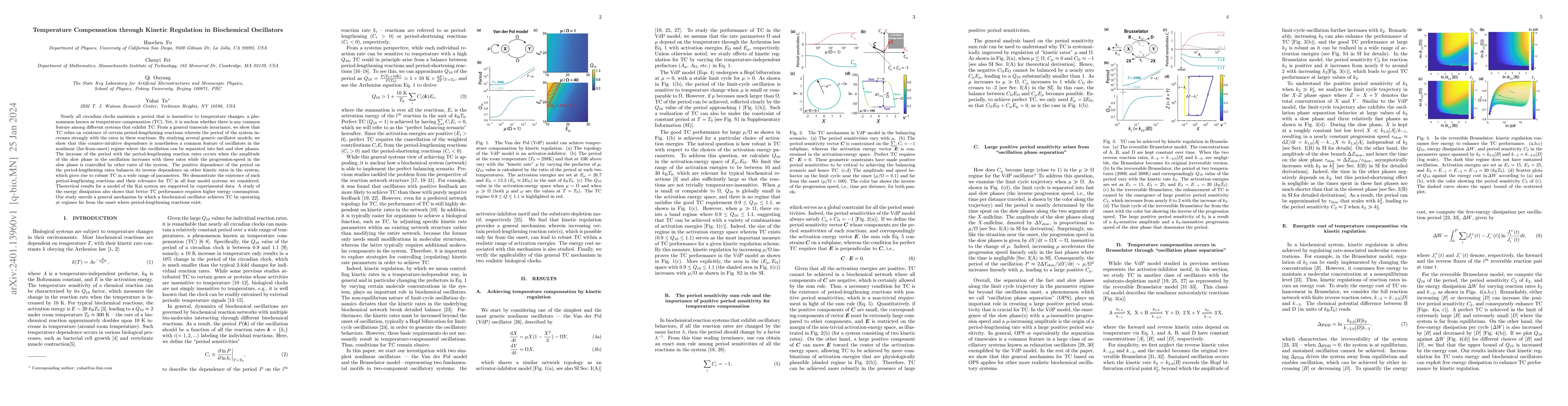 Thumbnail for Temperature Compensation through Kinetic Regulation in Biochemical
  Oscillators