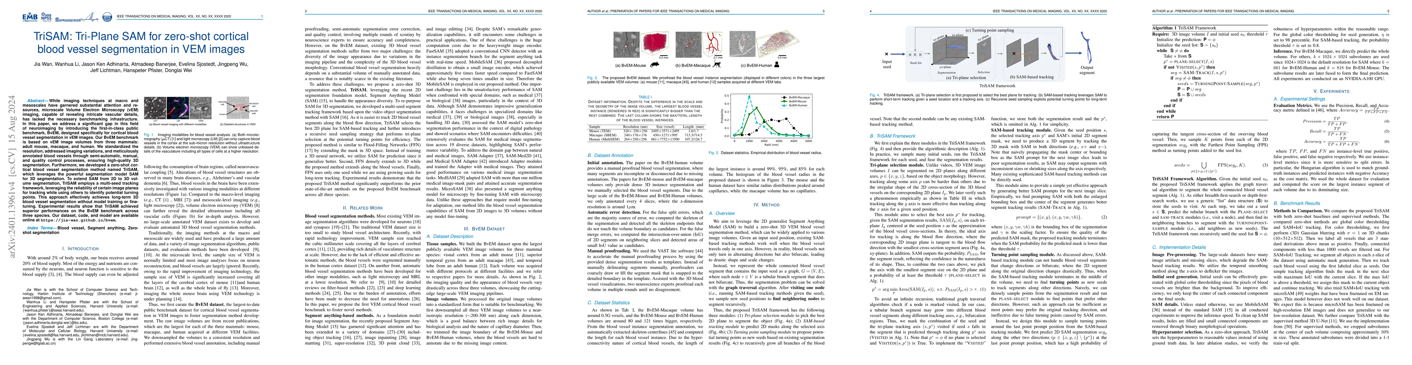 Thumbnail for TriSAM: Tri-Plane SAM for zero-shot cortical blood vessel segmentation
  in VEM images