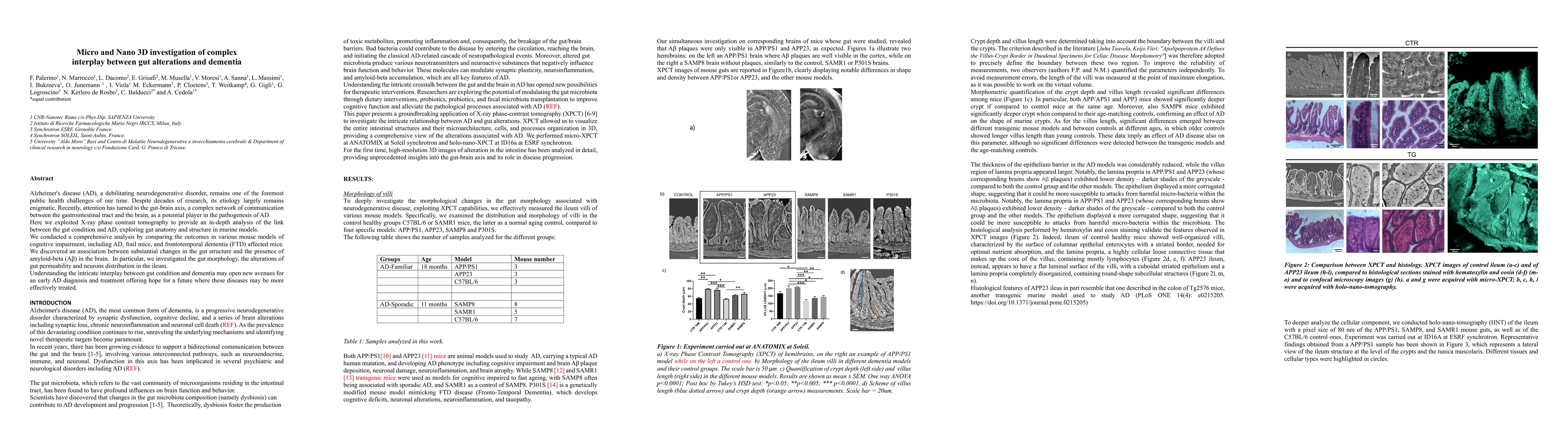 Thumbnail for Micro and Nano 3D investigation of complex gut alterations-dementia
  interplay