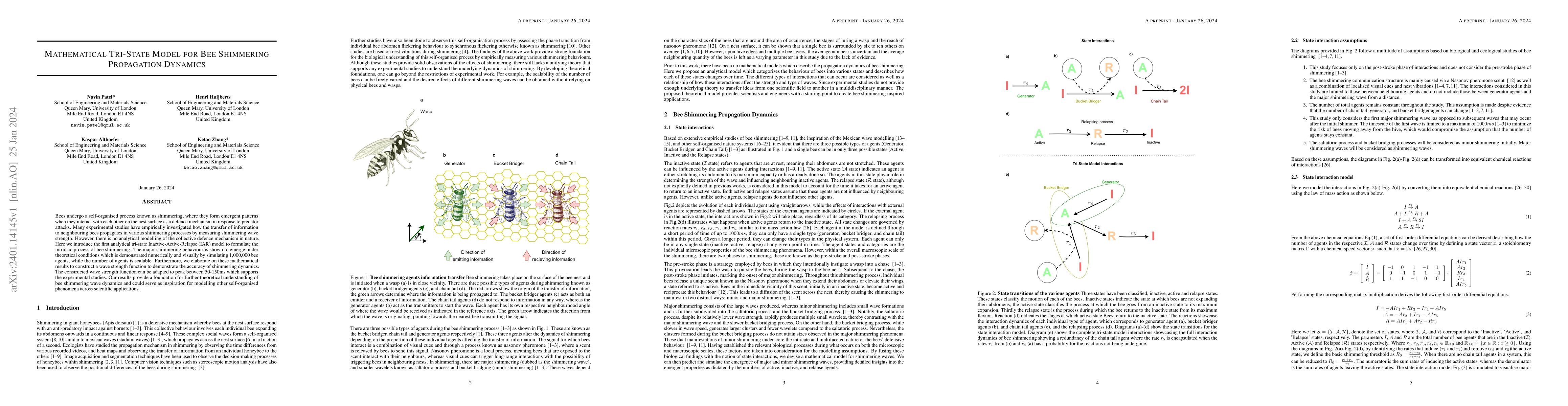 Thumbnail for Mathematical Tri-State Model for Bee Shimmering Propagation Dynamics