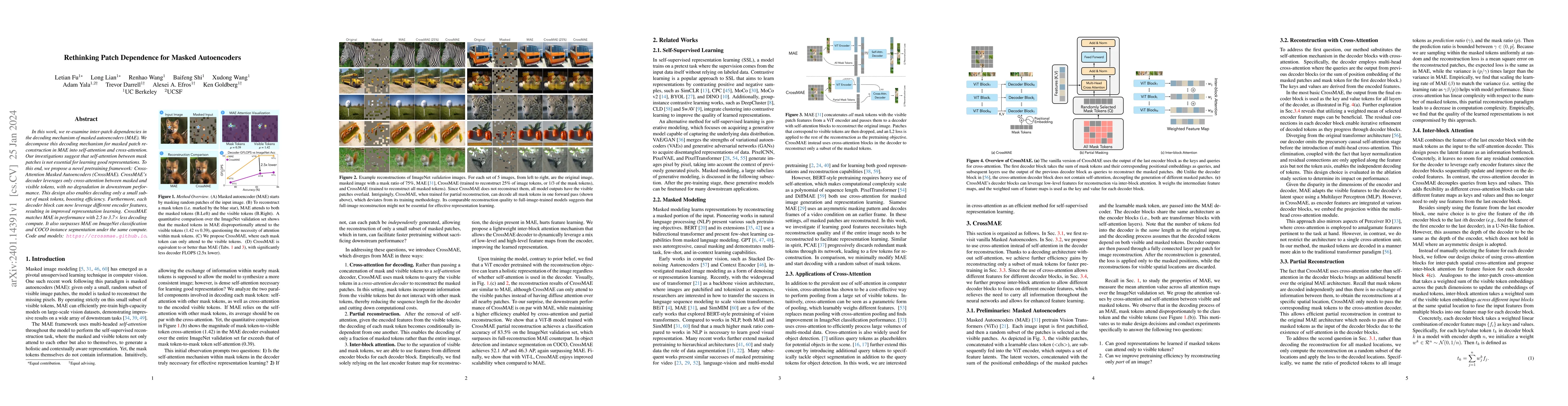 Thumbnail for Rethinking Patch Dependence for Masked Autoencoders