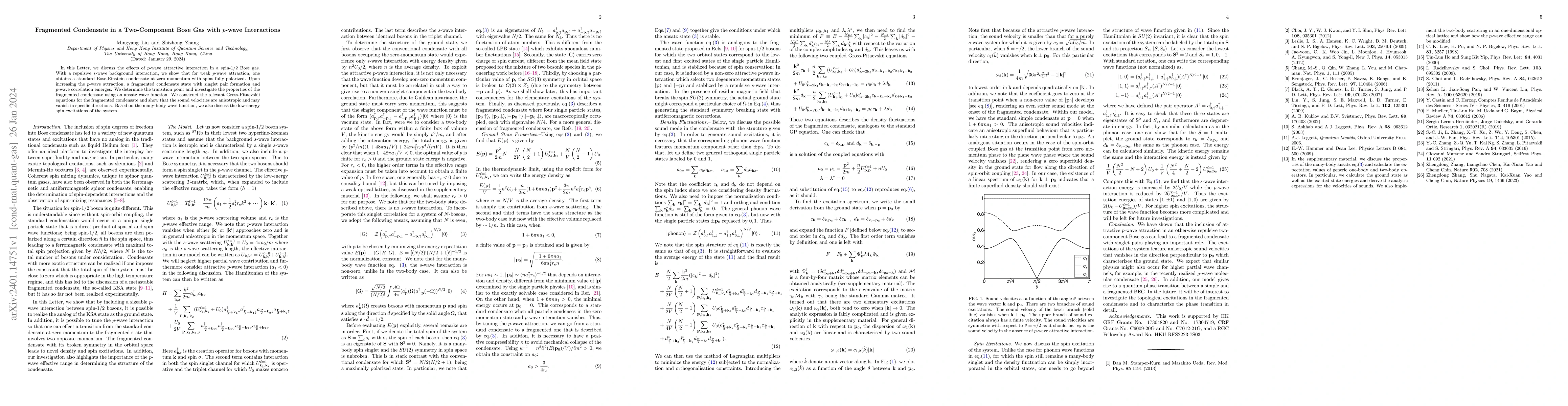 Thumbnail for Fragmented Condensate in a Two-Component Bose Gas with $p$-wave
  Interactions