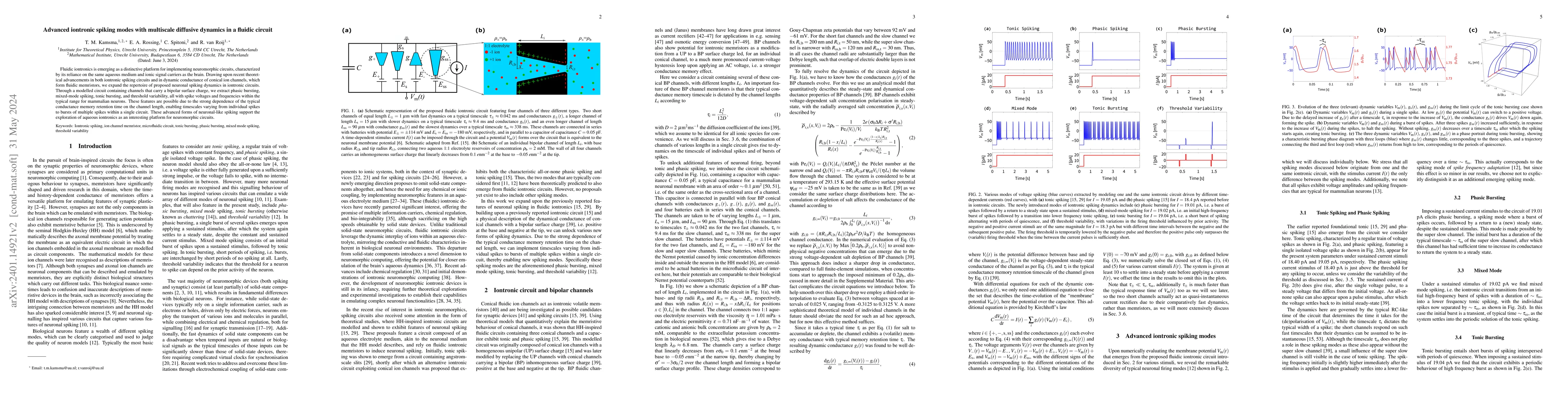 Thumbnail for Advanced iontronic spiking modes with multiscale diffusive dynamics in a
  fluidic circuit