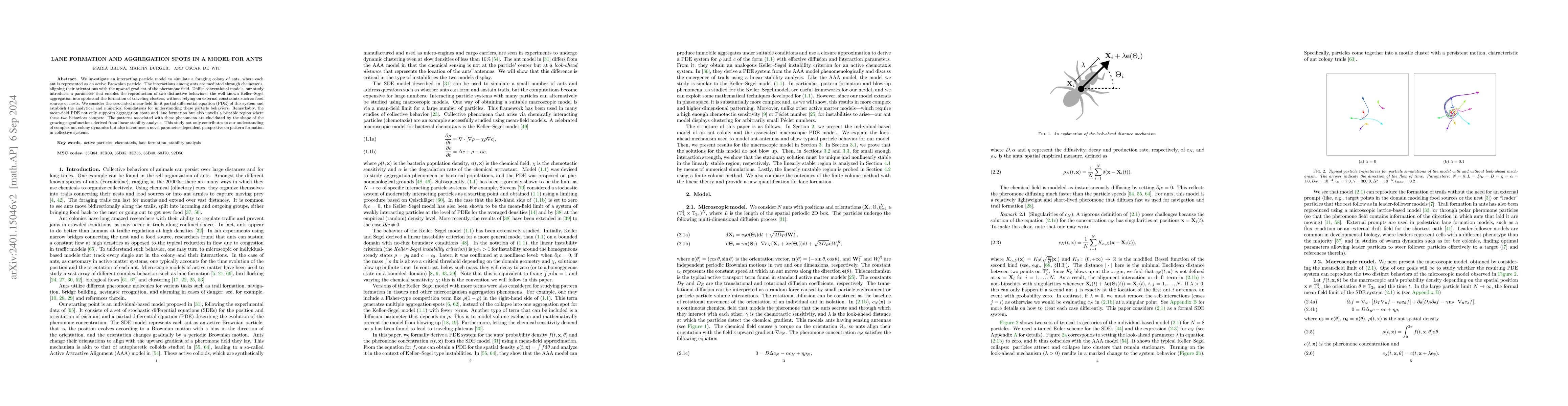 Thumbnail for Lane formation and aggregation spots in a model of ants