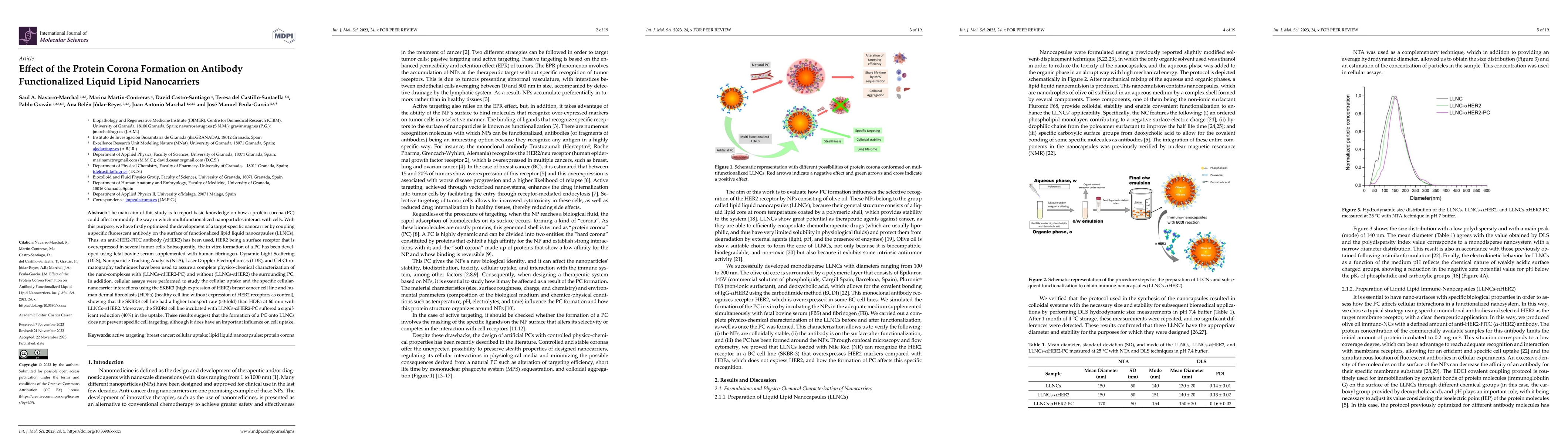 Thumbnail for Effect of the Protein Corona Formation on Antibody Functionalized Liquid
  Lipid Nanocarriers